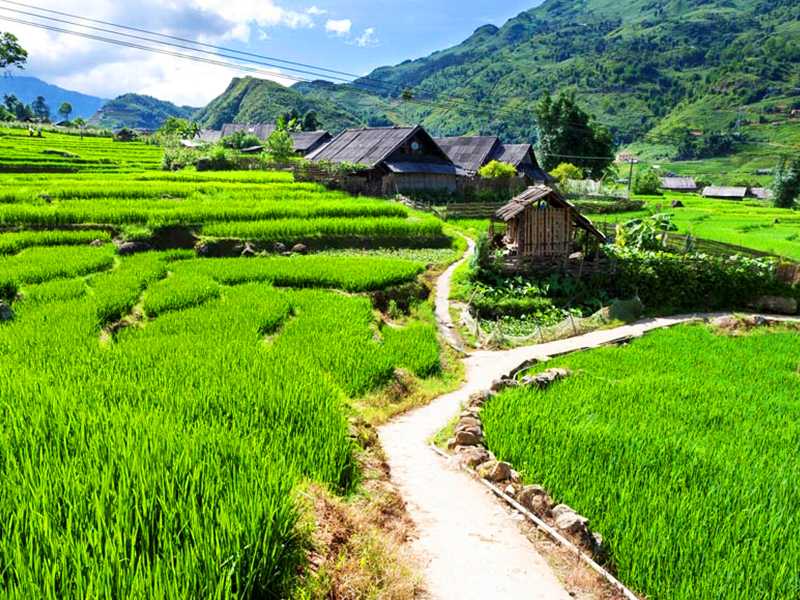 Sapa 2 Day 1-Night by train (Hotel stay)2