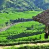 Sapa 2 Day 1-Night by train (Hotel stay)3
