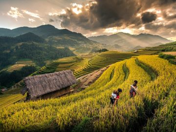 Sapa 2 Day 1-Night by bus (Hotel stay)