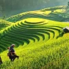 The delights of Northern Vietnam3