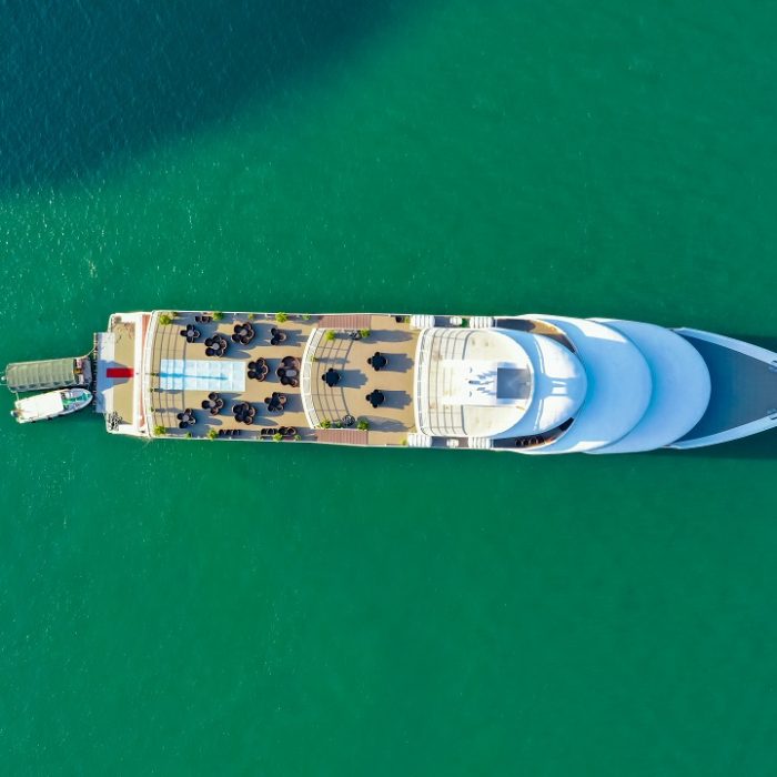 7-Hour Experience on Sea Octopus2