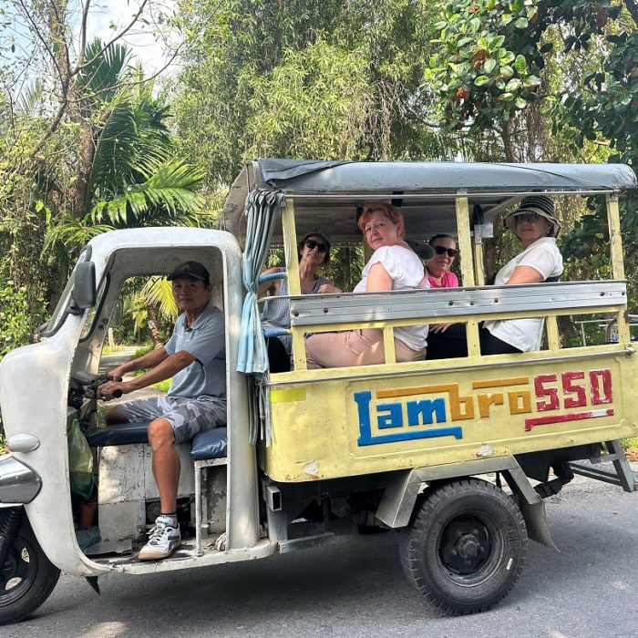 Day Tour to the Mekong Delta (My Tho)4