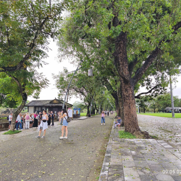 Discover Vietnam from Central to North in 14 Days3