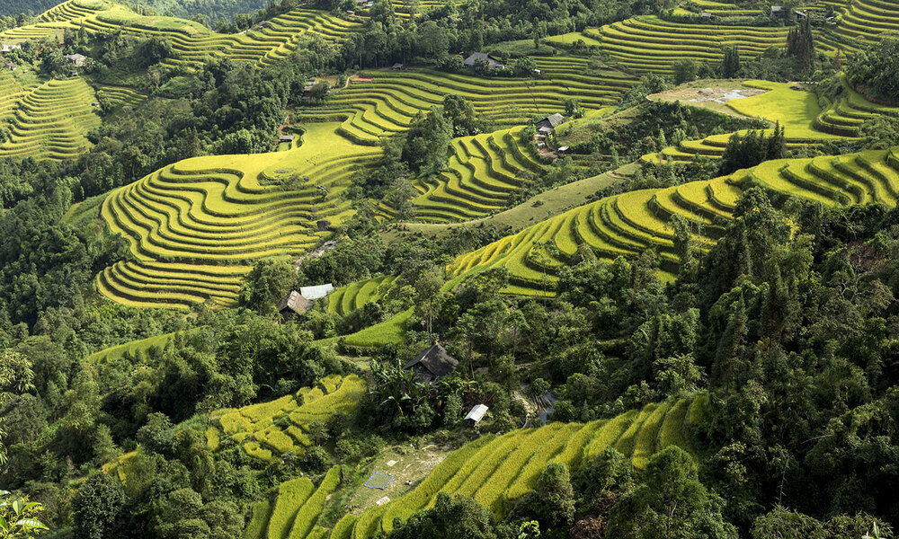 7 Day 6 Night Mekong Delta and Cambodia Discovery Package