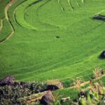 Central and North Vietnam 12 Day 11 Night