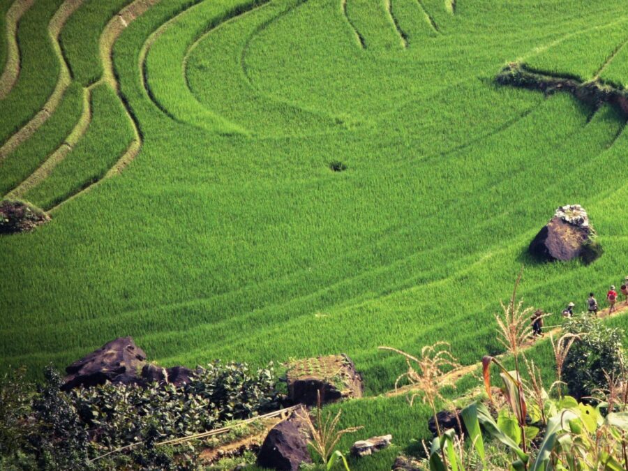 12-Day Central and Northern Vietnam Package