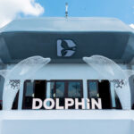 Dolphin Halong Day Cruises