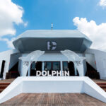 Dolphin Halong Day Cruises