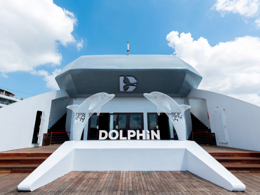 Dolphin Halong Day Cruises