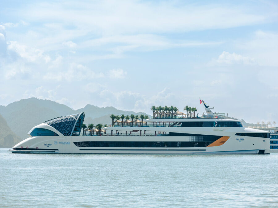 Dolphin Halong Day Cruises