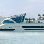 Dolphin Halong Day Cruises