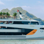 Dolphin Halong Day Cruises