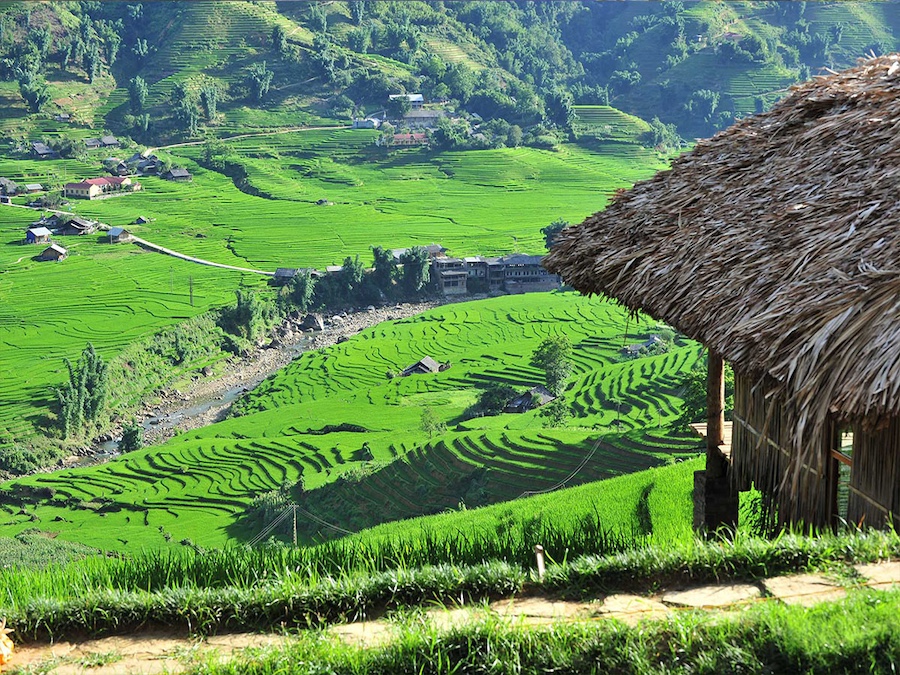 8-Day Northern Vietnam Highlights Tour